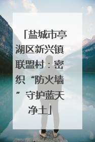 盐城市亭湖区新兴镇联盟村：密织“防火墙”守护蓝天净土