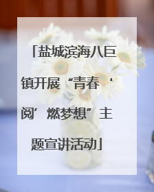 盐城滨海八巨镇开展“青春‘阅’燃梦想”主题宣讲活动