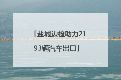 盐城边检助力2193辆汽车出口