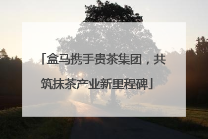 盒马携手贵茶集团，共筑抹茶产业新里程碑