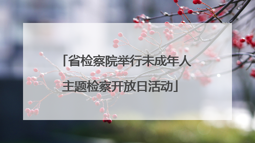 省检察院举行未成年人主题检察开放日活动
