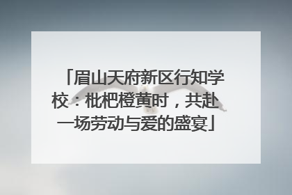 眉山天府新区行知学校：枇杷橙黄时，共赴一场劳动与爱的盛宴