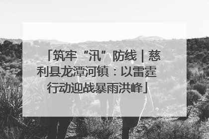 筑牢“汛”防线｜慈利县龙潭河镇：以雷霆行动迎战暴雨洪峰
