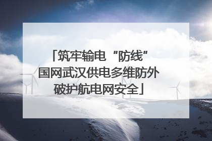 筑牢输电“防线” 国网武汉供电多维防外破护航电网安全