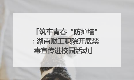 筑牢青春“防护墙”：湖南财工职院开展禁毒宣传进校园活动