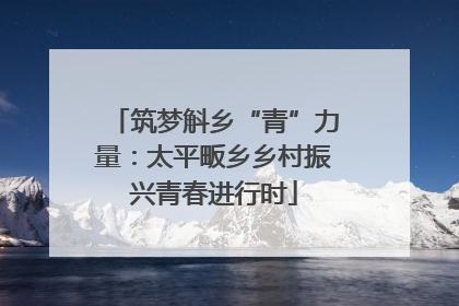筑梦斛乡“青”力量：太平畈乡乡村振兴青春进行时