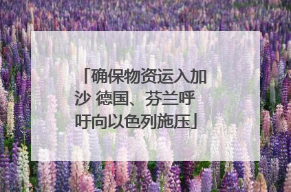 确保物资运入加沙 德国、芬兰呼吁向以色列施压