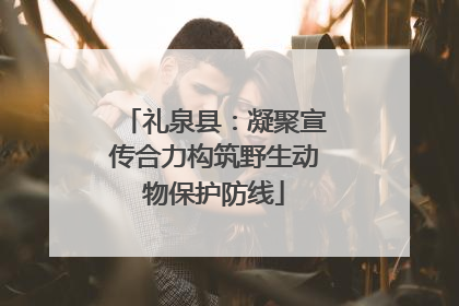 礼泉县：凝聚宣传合力构筑野生动物保护防线
