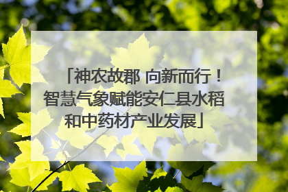 神农故郡 向新而行！智慧气象赋能安仁县水稻和中药材产业发展