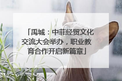 禹城：中菲经贸文化交流大会举办，职业教育合作开启新篇章