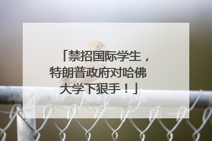 禁招国际学生，特朗普政府对哈佛大学下狠手！