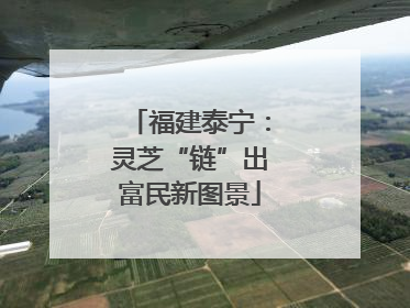 福建泰宁：灵芝“链”出富民新图景