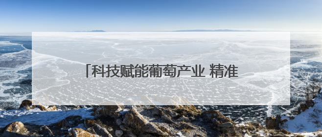 科技赋能葡萄产业 精准服务助农增收——河南省葡萄产业科技特派员服务团太康县科技服务纪实
