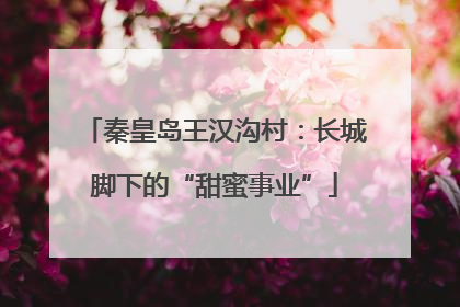 秦皇岛王汉沟村：长城脚下的“甜蜜事业”