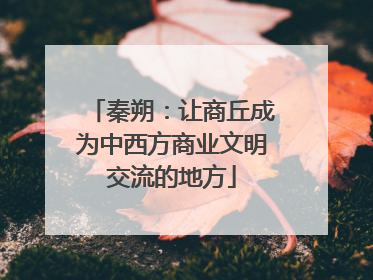 秦朔：让商丘成为中西方商业文明交流的地方
