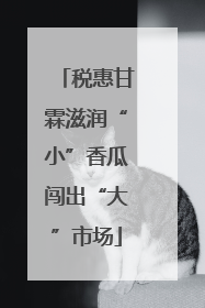 税惠甘霖滋润“小”香瓜闯出“大”市场
