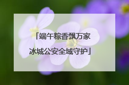 端午粽香飘万家 冰城公安全域守护