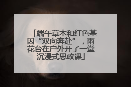 端午草木和红色基因“双向奔赴”，雨花台在户外开了一堂沉浸式思政课