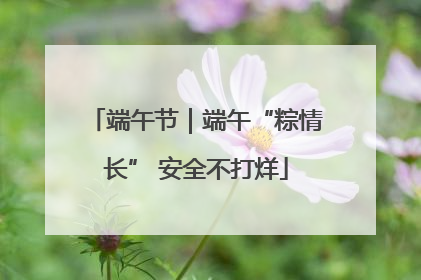 端午节｜端午“粽情长” 安全不打烊