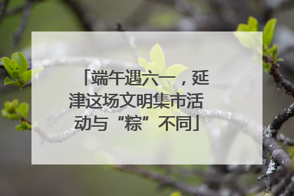 端午遇六一，延津这场文明集市活动与“粽”不同