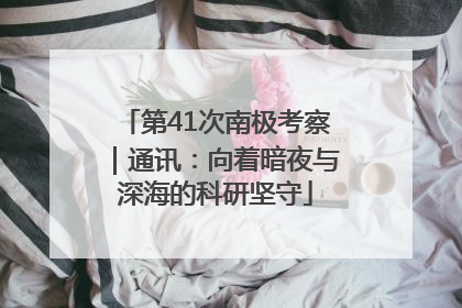 第41次南极考察｜通讯：向着暗夜与深海的科研坚守