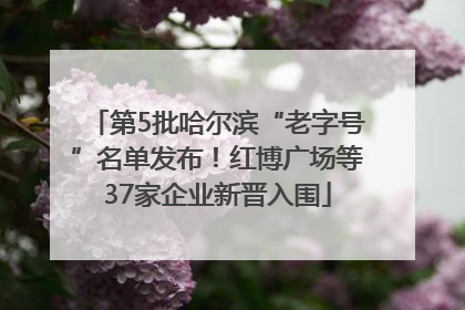 第5批哈尔滨“老字号”名单发布！红博广场等37家企业新晋入围