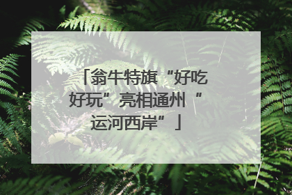 翁牛特旗“好吃好玩”亮相通州“运河西岸”