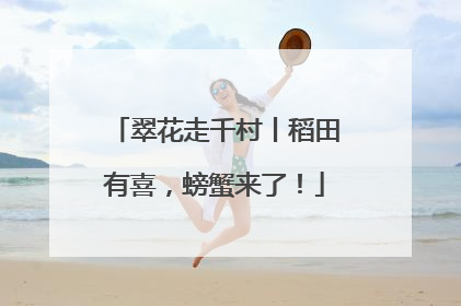 翠花走千村丨稻田有喜，螃蟹来了！