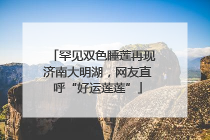 罕见双色睡莲再现济南大明湖，网友直呼“好运莲莲”