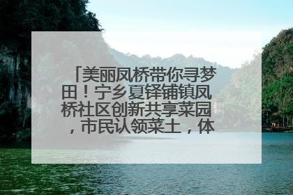 美丽凤桥带你寻梦田！宁乡夏铎铺镇凤桥社区创新共享菜园，市民认领菜土，体验耕种收获乐趣