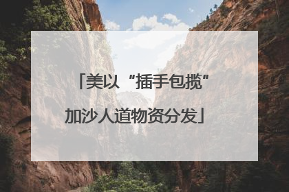 美以“插手包揽”加沙人道物资分发