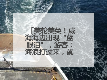 美轮美奂！威海海边出现“蓝眼泪”，游客：海浪打过来，就像星河一样