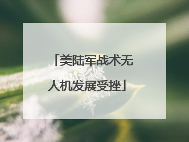 美陆军战术无人机发展受挫