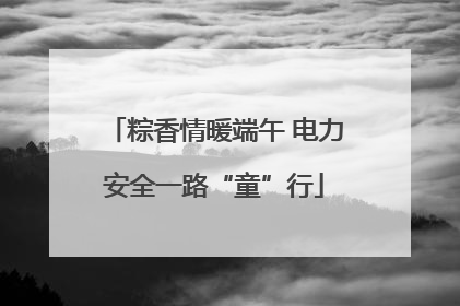 粽香情暖端午 电力安全一路“童”行