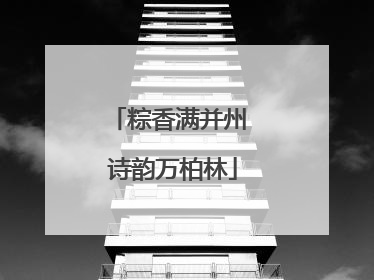 粽香满并州 诗韵万柏林