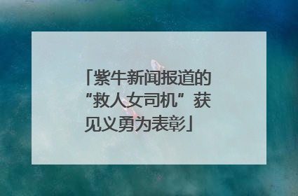 紫牛新闻报道的“救人女司机”获见义勇为表彰