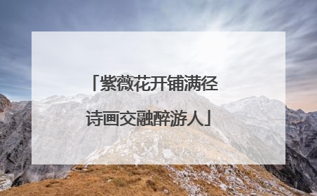 紫薇花开铺满径 诗画交融醉游人