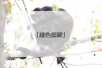 绿色低碳