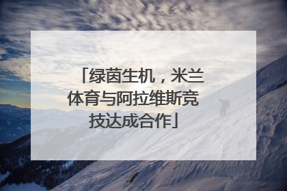 绿茵生机，米兰体育与阿拉维斯竞技达成合作