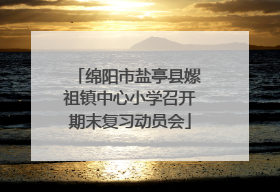 绵阳市盐亭县嫘祖镇中心小学召开期末复习动员会