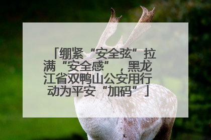 绷紧“安全弦”拉满“安全感”，黑龙江省双鸭山公安用行动为平安“加码”