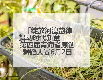 绽放河湟韵律 舞动时代新章——第四届青海省原创舞蹈大赛6月2日盛大启幕