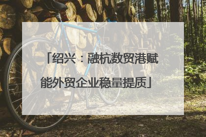 绍兴：融杭数贸港赋能外贸企业稳量提质