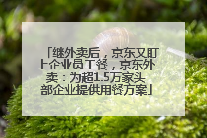 继外卖后，京东又盯上企业员工餐，京东外卖：为超1.5万家头部企业提供用餐方案