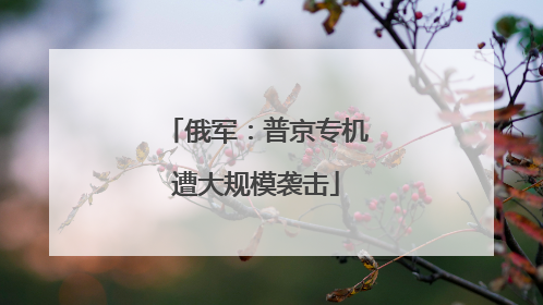 俄军：普京专机遭大规模袭击