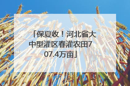 保夏收！河北省大中型灌区春灌农田707.4万亩