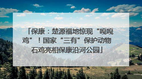 保康：楚源福地惊现“嘎嘎鸡”！国家“三有”保护动物石鸡亮相保康沿河公园
