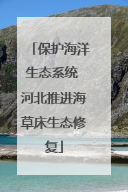 保护海洋生态系统 河北推进海草床生态修复