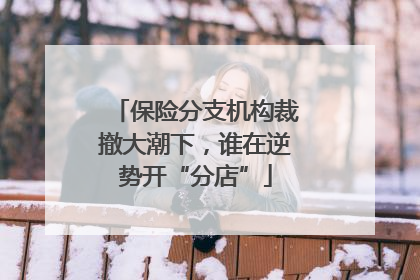 保险分支机构裁撤大潮下，谁在逆势开“分店”