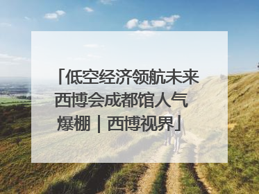 低空经济领航未来 西博会成都馆人气爆棚｜西博视界